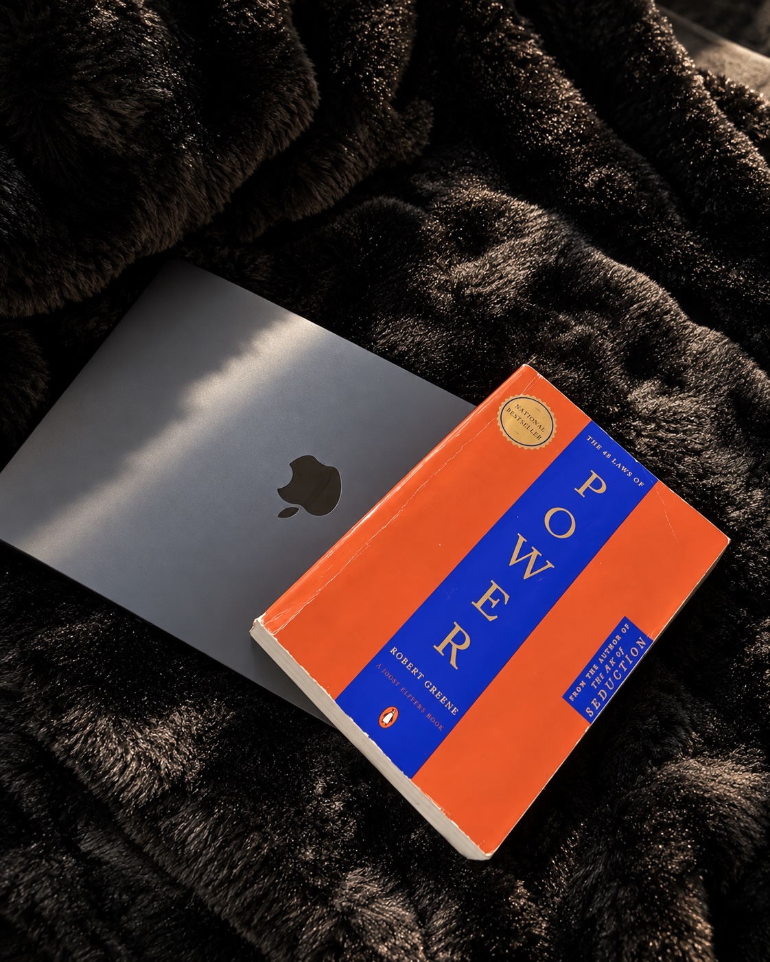 The 48 Laws of Power by Robert Greene photographed by Aman